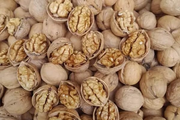 تصویر 4 از فروش گردو کاغذی ایرانی + قیمت خرید به صرفه
